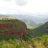 so much green